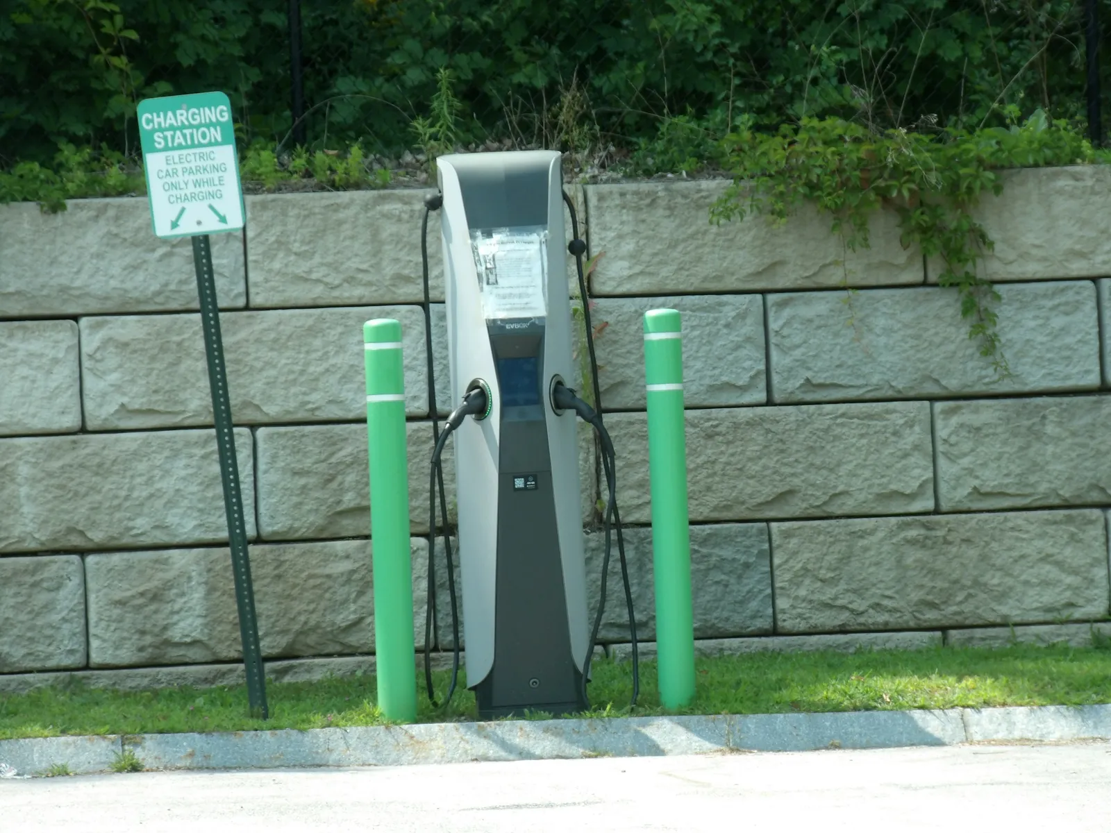Symbolbild: Parkverbotsschilder vor Ladestationen für Elektroautos sind rechtens