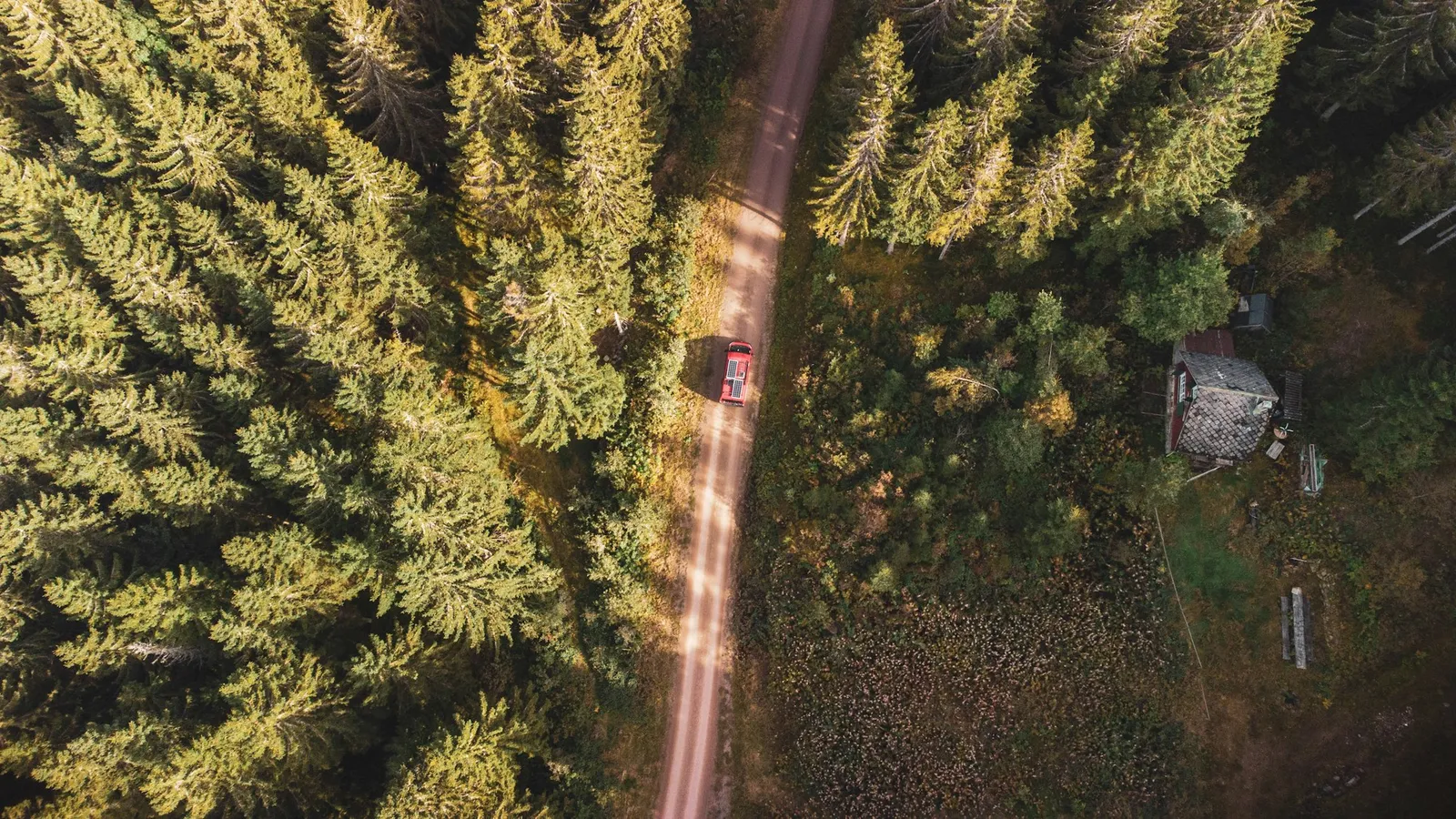 Symbolbild: Touristen können im Schwarzwald kostenlos Elektroautos nutzen